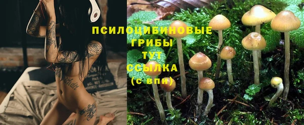 2c-b Абдулино
